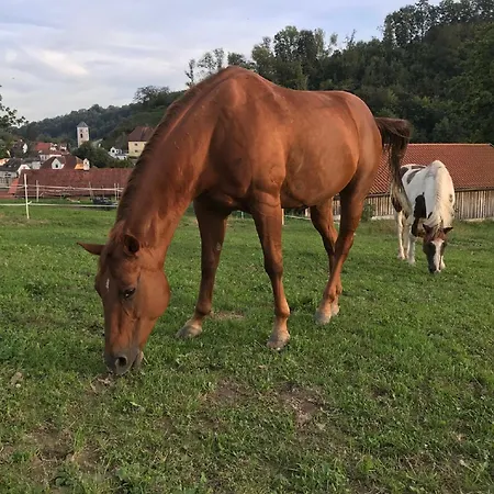 Venkovský dům Hofbauerngut Sproedhuber