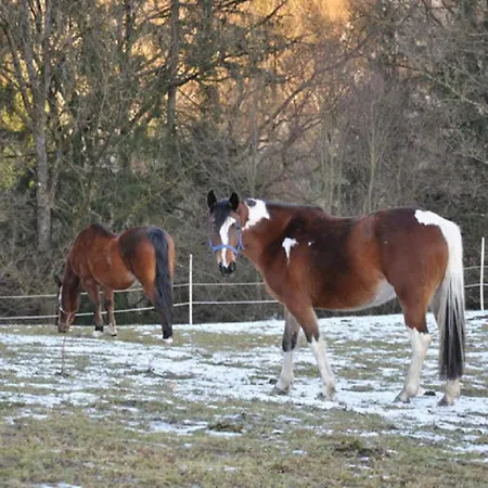 Hofbauerngut Sproedhuber Venkovský dům Pasov